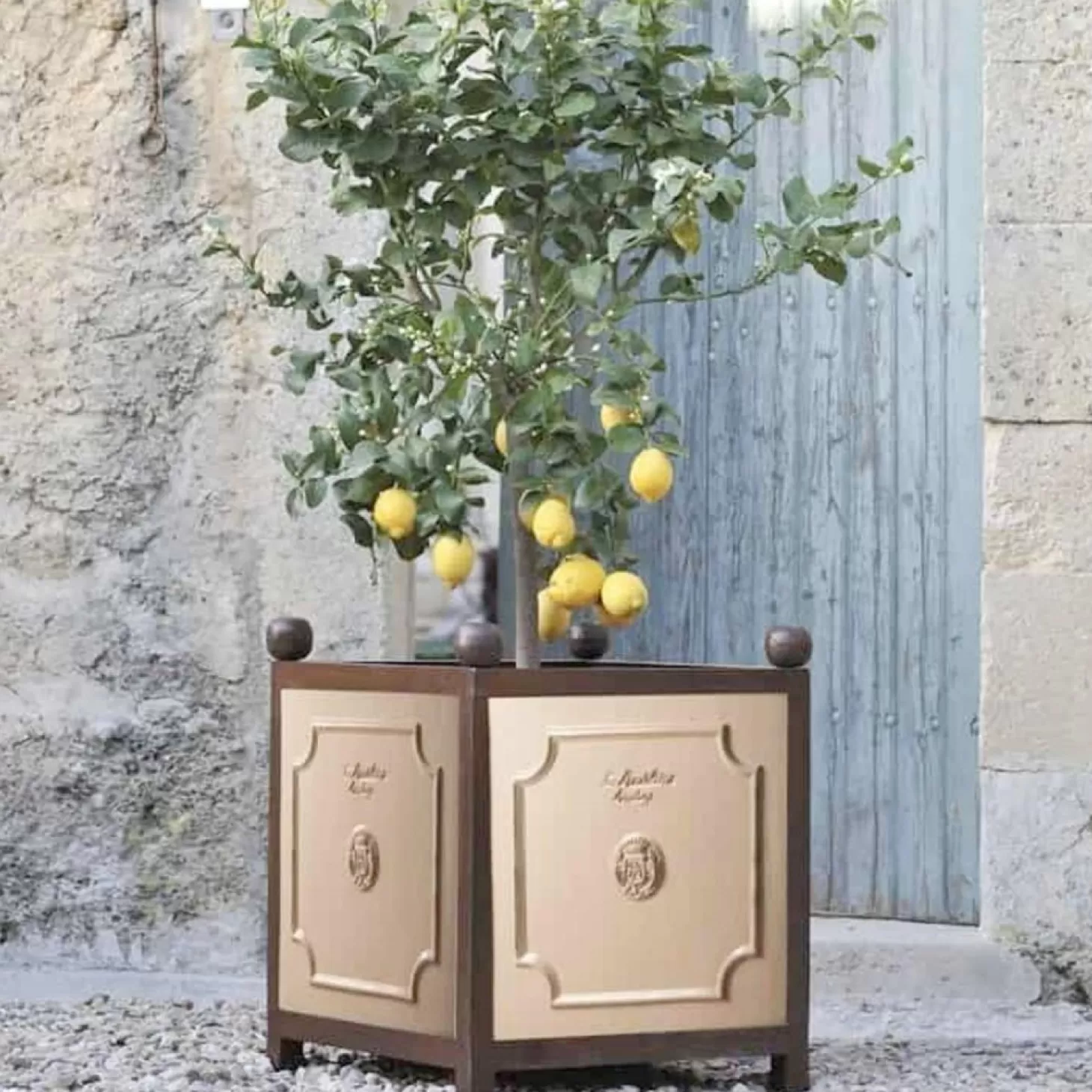 Pottery + Planters + Containers>Roger's Gardens Ivory Color Glazed Orange Container